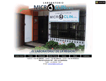 Tablet Screenshot of microclin.com